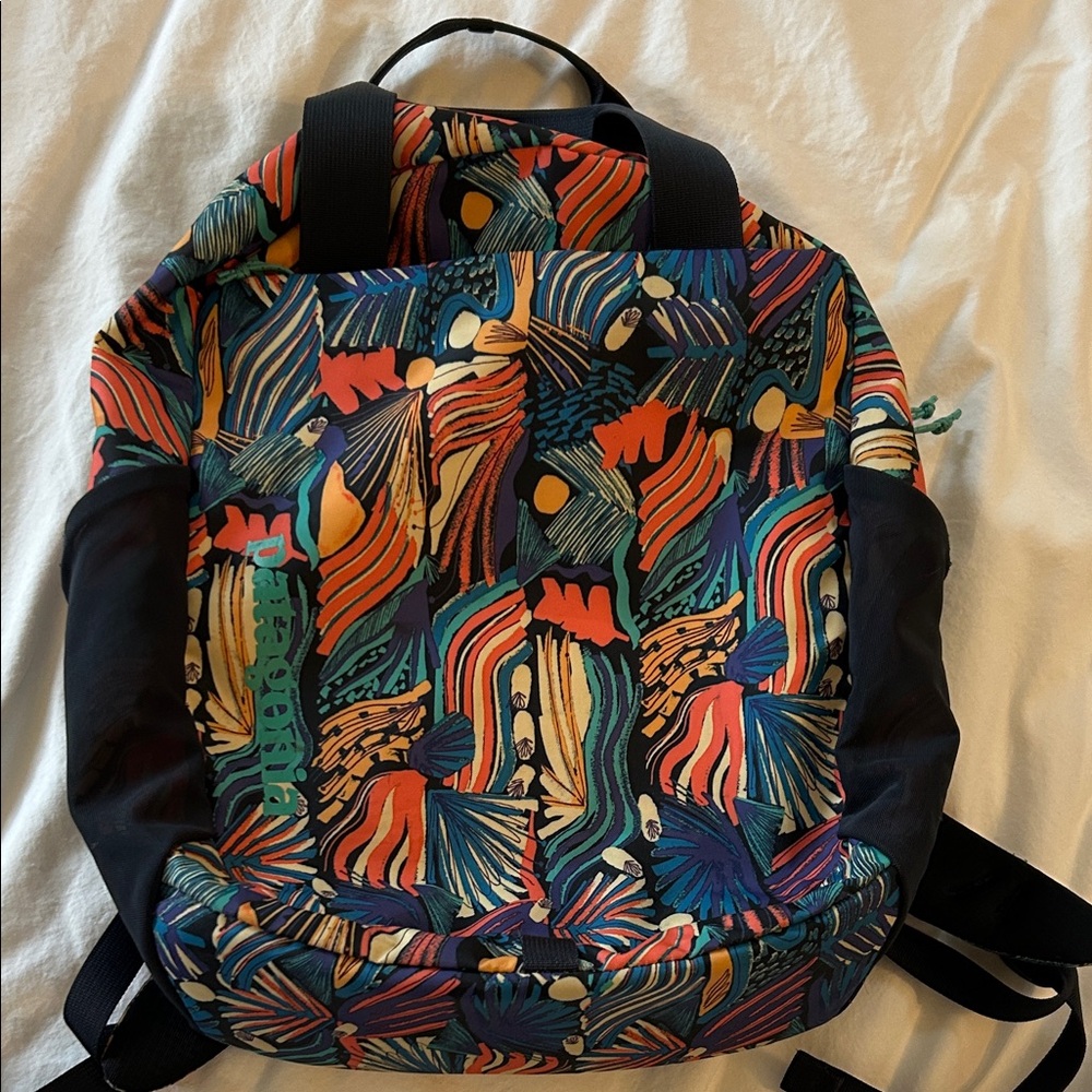 Patagonia daypack
